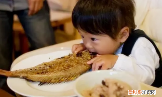 不能吃鱼的孩子怎么补营养