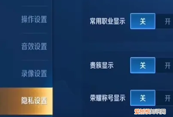 王者荣耀怎么隐藏战绩，王者荣耀战绩隐藏怎么设置的