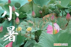 2023年小暑是什么时候