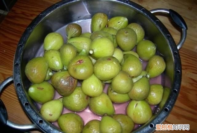 入秋后多吃这六种水果 入秋后这5种水果少给娃吃