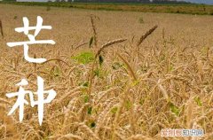 2023年芒种时间
