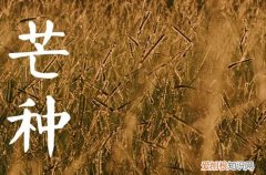 芒种哪一天2023