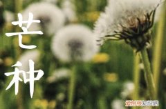 今年芒种准确时间2023年