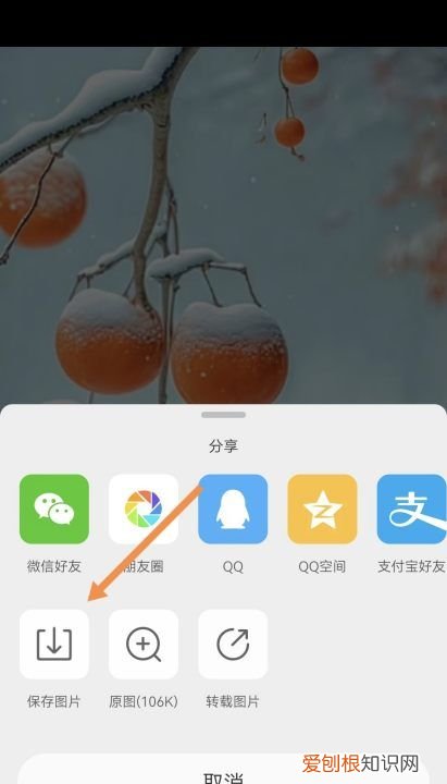 怎么保存微博全景图 保存微博全景图的详细步骤