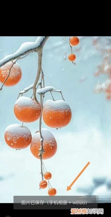 怎么保存微博全景图 保存微博全景图的详细步骤