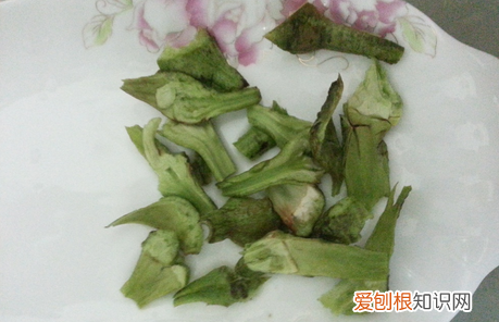 去蒂的意思是什么，月季花落只去蒂,花朵随开无停滞