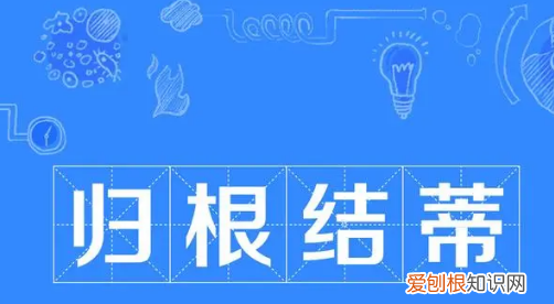 去蒂的意思是什么，月季花落只去蒂,花朵随开无停滞