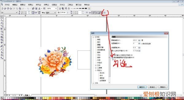 cdr该怎么才能改尺寸，cdr怎么才能把图片变成同一种颜色