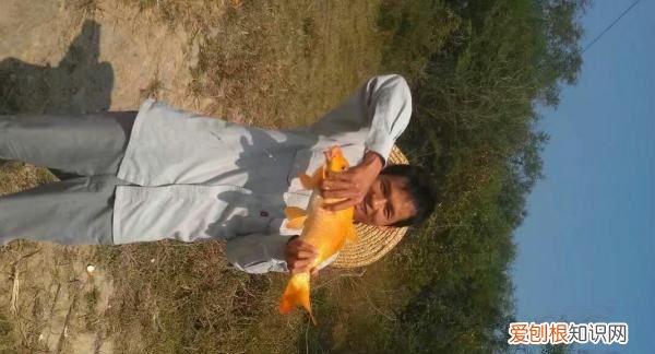 老钓位可以天天钓，同一个钓位能天天钓到鱼吗