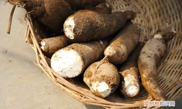 7种食物没煮熟之前有剧毒 哪种食物不煮熟有毒千万别吃