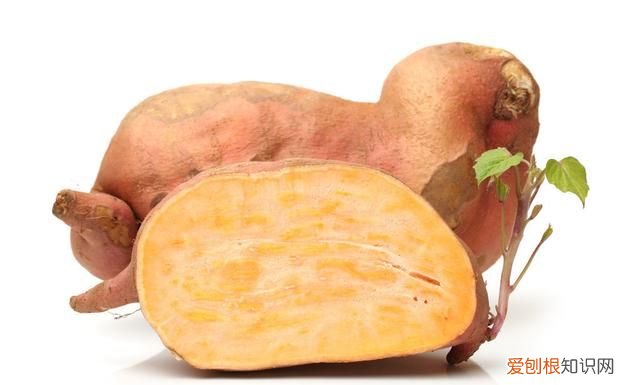 7种食物没煮熟之前有剧毒 哪种食物不煮熟有毒千万别吃