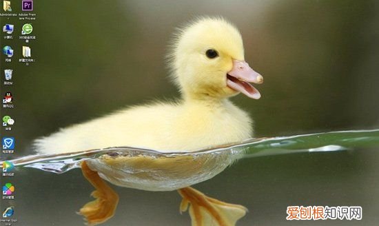 文本文档怎么改格式,wps文档怎么更改文件类型