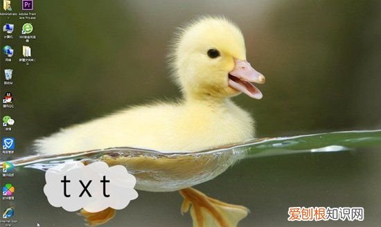 文本文档怎么改格式,wps文档怎么更改文件类型