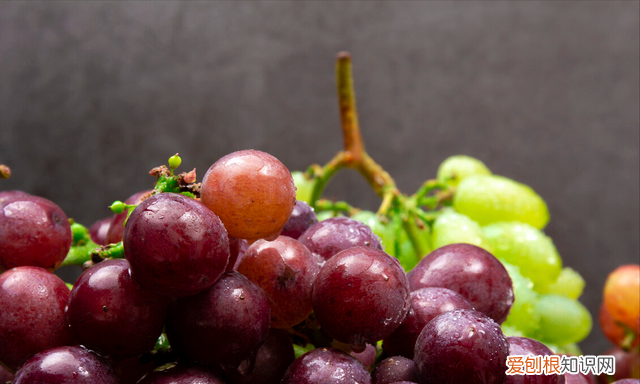 洗葡萄用盐还是用面粉