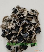 木耳泡发多久合适 木耳泡多久合适