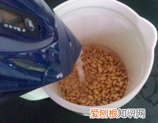 怎么用豆浆机打豆浆，全自动豆浆机怎么使用视频教程