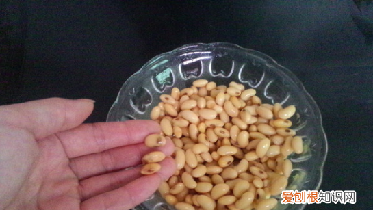 怎么用豆浆机打豆浆，全自动豆浆机怎么使用视频教程