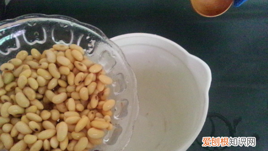 怎么用豆浆机打豆浆，全自动豆浆机怎么使用视频教程