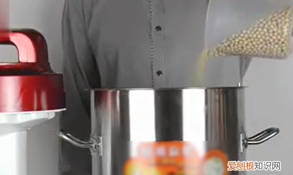 怎么用豆浆机打豆浆，全自动豆浆机怎么使用视频教程