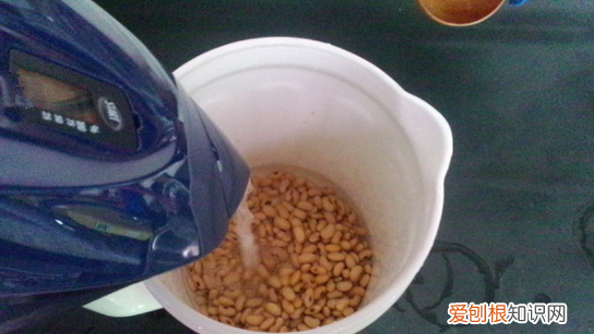 怎么用豆浆机打豆浆，全自动豆浆机怎么使用视频教程