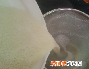 怎么用豆浆机打豆浆，全自动豆浆机怎么使用视频教程