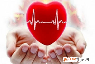 三七食疗的功效与作用