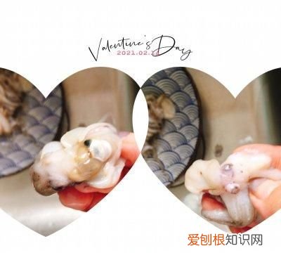 #一勺葱伴侣，成就招牌美味#这样做的八爪鱼你吃起来不香吗