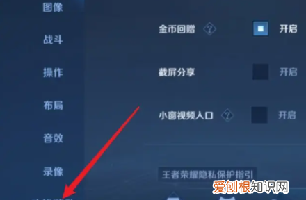 王者荣耀怎样开启隐身,王者怎么隐身上线不让好友知道