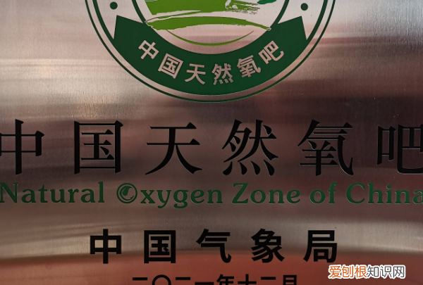 氧吧是什么意思，天然氧吧什么意思