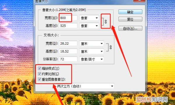 ps如何按比例调整大小，ps怎么修改大小尺寸,但不裁剪图片