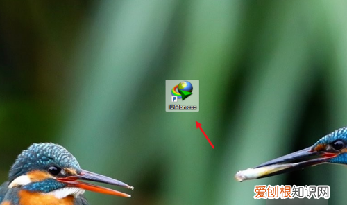 电脑怎么提取网页,如何下载网页视频到本地