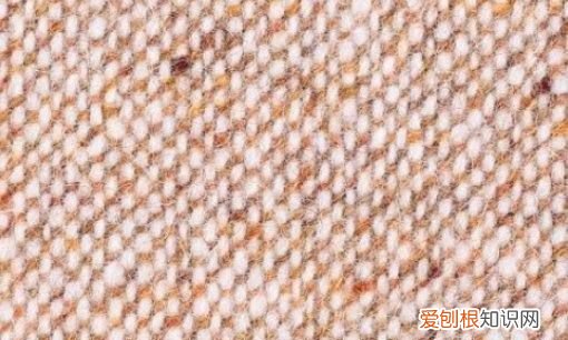 亚麻和苧麻有什么区别,亚麻和苧麻的区别是什么