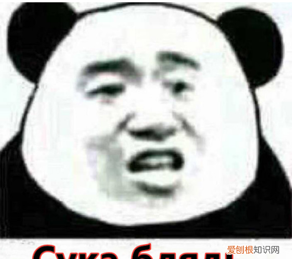 苏卡不列是什么意思，俄罗斯苏卡布列特什么意思