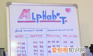 苏卡不列是什么意思，俄罗斯苏卡布列特什么意思