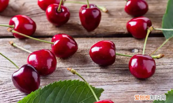 樱桃里有虫子怎么办，买的樱桃里面有虫子怎么办