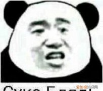 苏卡不列什么意思，俄语里苏卡不列什么意思