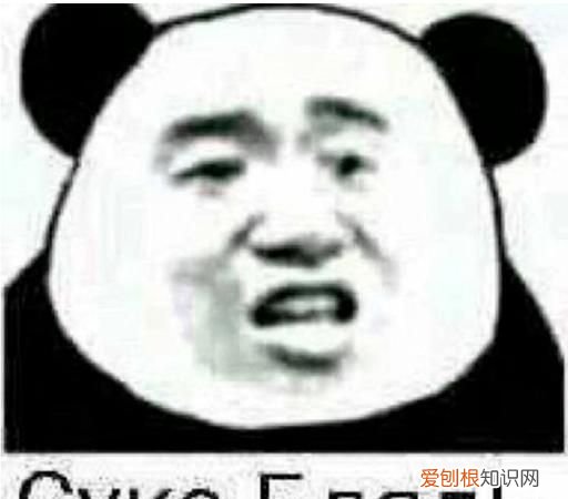 苏卡不列什么意思，俄语里苏卡不列什么意思