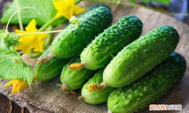 黄瓜西红柿的冰箱保存方法 黄瓜放冰箱怎样保存才能时间长