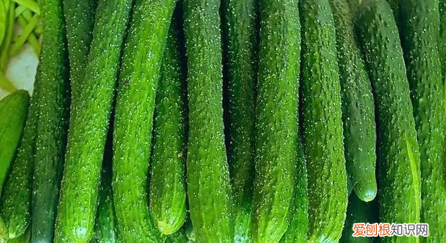 黄瓜西红柿的冰箱保存方法 黄瓜放冰箱怎样保存才能时间长