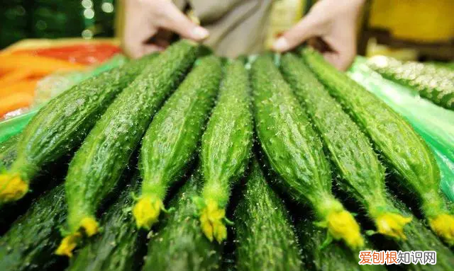 黄瓜西红柿的冰箱保存方法 黄瓜放冰箱怎样保存才能时间长