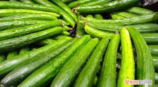 黄瓜西红柿的冰箱保存方法 黄瓜放冰箱怎样保存才能时间长