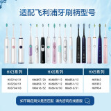 狮护电动牙刷头质量怎么样