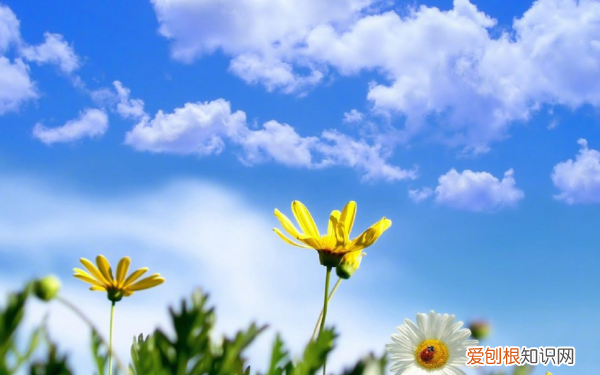 360电脑锁屏壁纸怎样关闭,怎么关闭电脑360锁屏广告推送