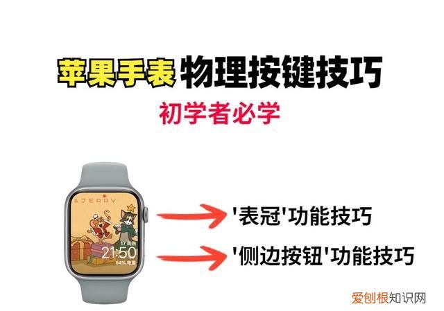 苹果手表的按键使用方法