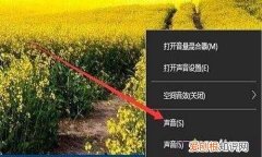 录屏怎么录自己的声音，Win0如何录制电脑内部声音