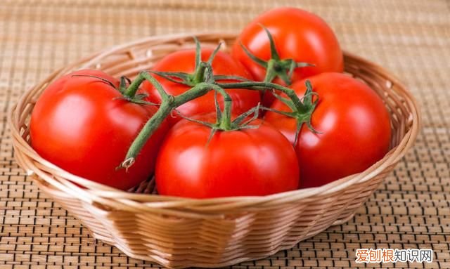 比发芽土豆还毒的食品 生活中常见的有毒食物原料