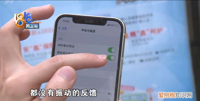 苹果手机没振动功能,检测报告无故障怎么回事