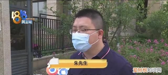 苹果手机没振动功能,检测报告无故障怎么回事