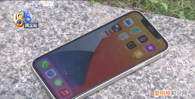 苹果手机没振动功能,检测报告无故障怎么回事