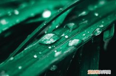 在夏季雨天适合发朋友圈的句子80句